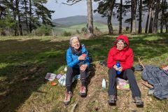 PXL_20240330_123649098_2016_1512