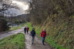 PXL_20240331_074739579_1512_2016