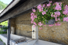 DSC00475