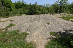 DSC00497