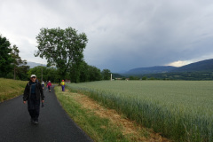 DSC00524
