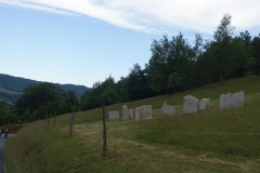 DSC00525