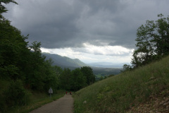 DSC00536