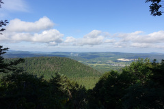 DSC00539