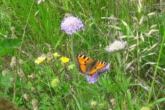 image0000011-9