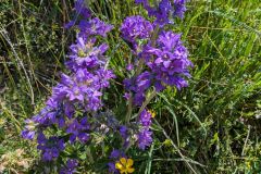 Chablais-2025-14