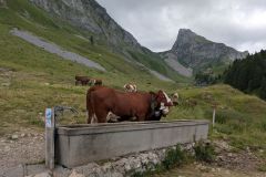 Chablais-2025-20