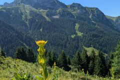 Chablais-2025-39