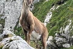 IMG-20250626-WA0012