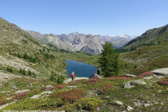 DSC02950