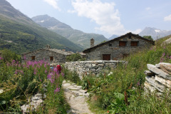 DSC03167
