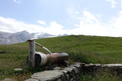 DSC03195