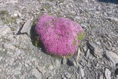 image0000051-7