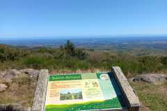 IMG-20230926-WA0008
