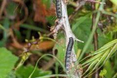 IMG_20230604_171315