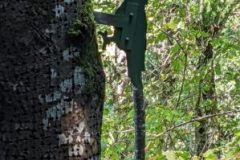 IMG_20230910_185634-1