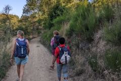 IMG_20230910_185634-5