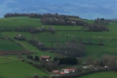 IMG_43461
