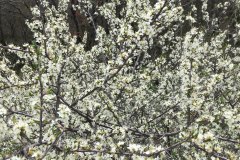IMG_43501