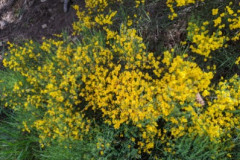 image0000081-6