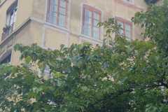IMG-20241214-WA0007