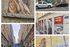 IMG-20241214-WA0010