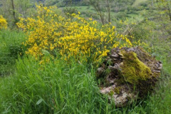 image0000001-1