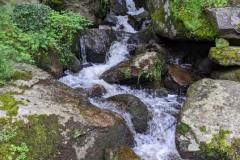 image0000011-2