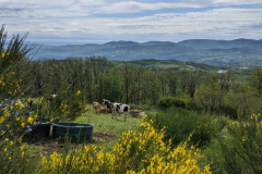 image0000011