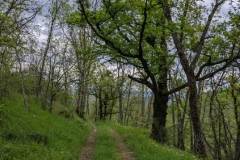 image0000081
