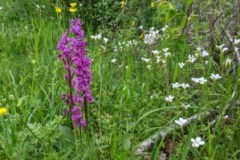image0000091