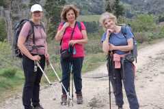 IMG-20260413-WA0006