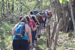 IMG-20260413-WA0007