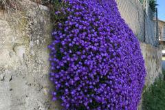 IMG-20250407-WA0002