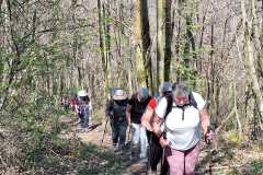IMG-20250407-WA0007