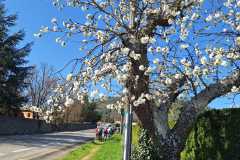 IMG-20250407-WA0009