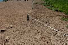 1000028124