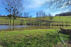 IMG-20250323-WA0017