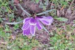 IMG-20250323-WA0020