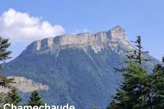 IMG-20250625-WA0000