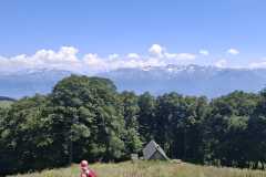 IMG-20250625-WA0001