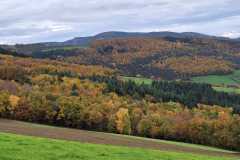 IMG-20251102-WA0004