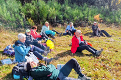 IMG-20251102-WA00052