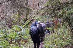 IMG-20251130-WA0006