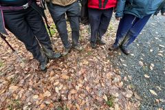 IMG-20251207-WA0006