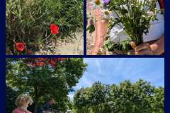 IMG_20250520_222432