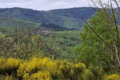 image0000041