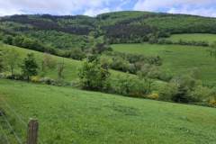 image0000051