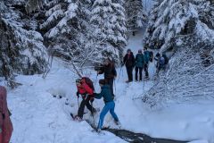 Alpe-du-Grand-Serre-01