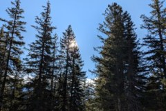 image0000051-4